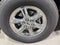 2025 Ford F-150 XLT FX4