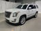2019 Cadillac Escalade Platinum Edition