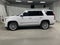 2019 Cadillac Escalade Platinum Edition